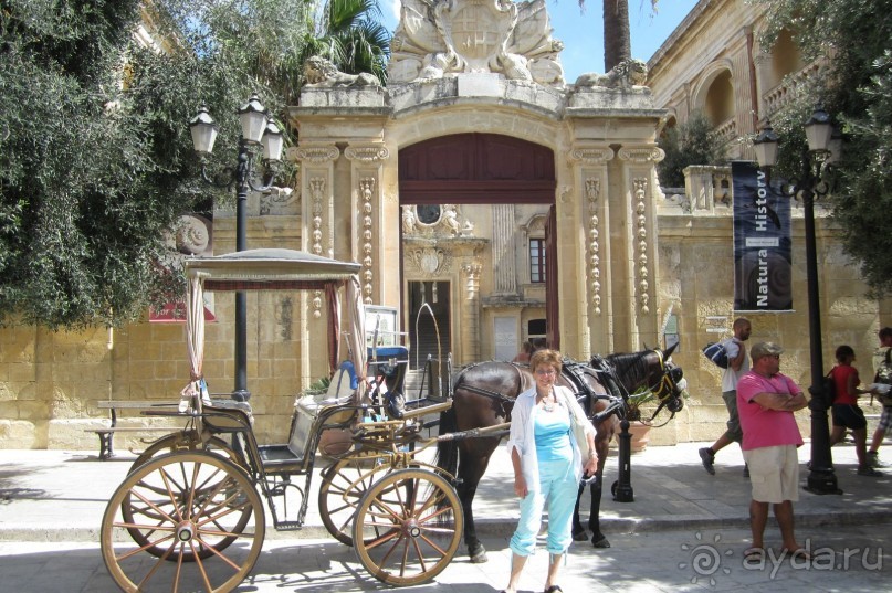 Мдина - дворец Вильена,Музей естествознания