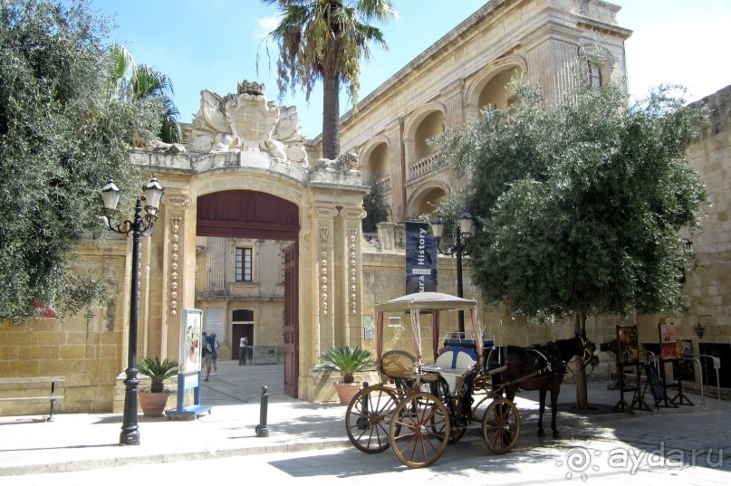 Мдина - дворец Вильена,Музей естествознания