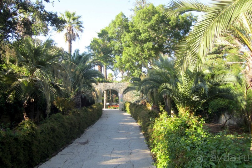 Аттард - сады св. Антония