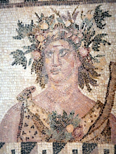 Дом Диониса.