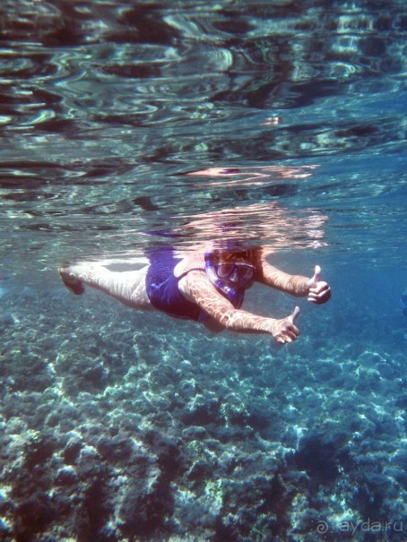 Можно поплавать с трубкой-маской