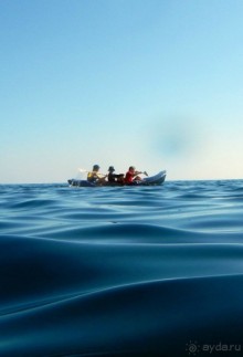 Байдарочники