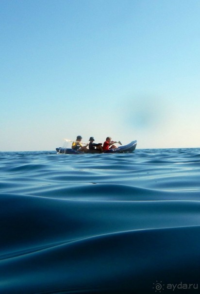 Байдарочники