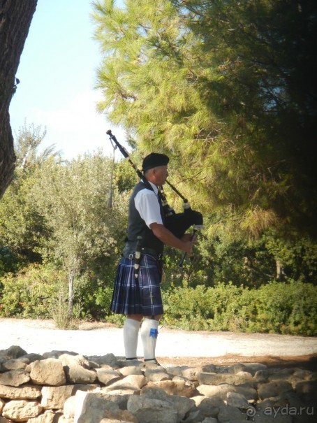 Музыкант на свадьбе