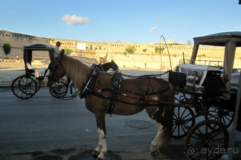 Форт Сент Эльмо - конечная остановка прогулочных конных экипажей