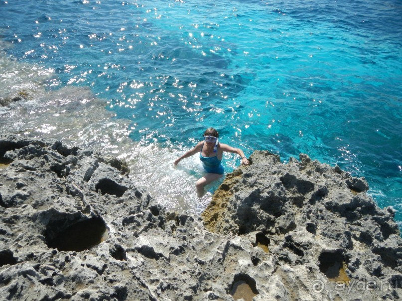 Вот вылезали из воды...