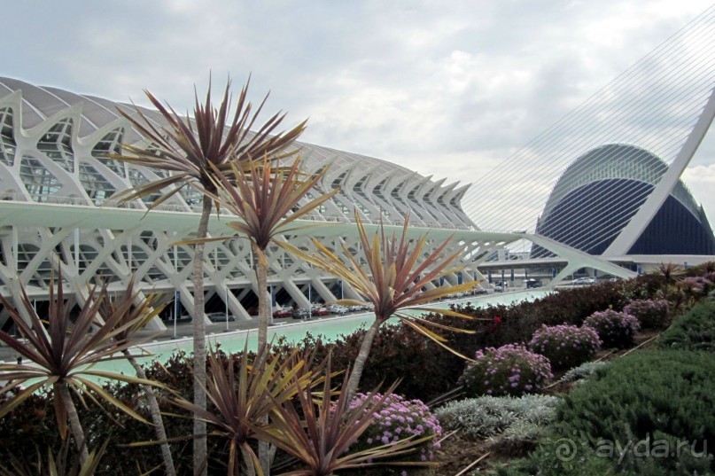 Город науки и искусств