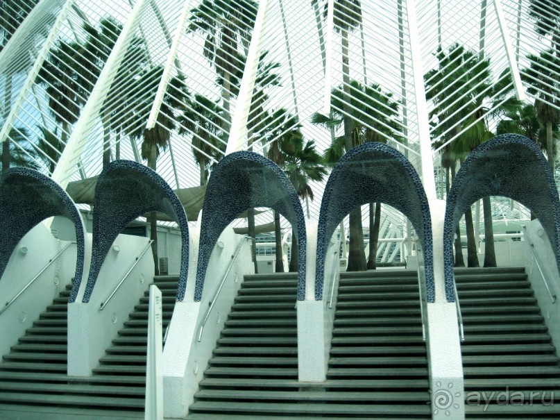 Город науки и искусств