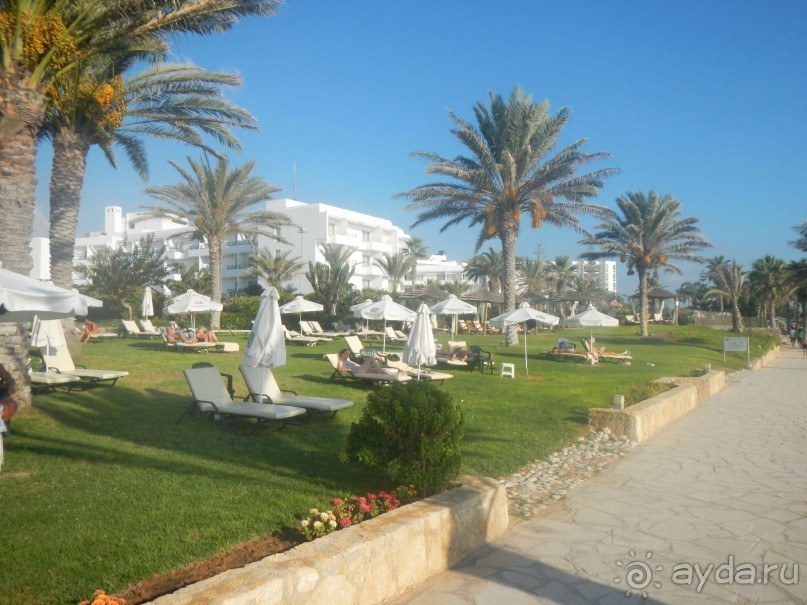 фото Leonardo Cypria Bay Hotel