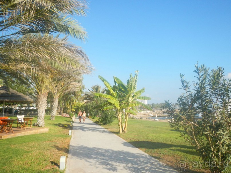 фото Leonardo Cypria Bay Hotel