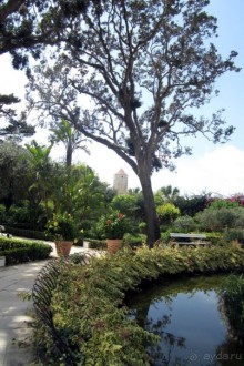 Нашшар - Palazzo Parisio, сады