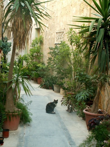 Нашшар -улочки, балкончики