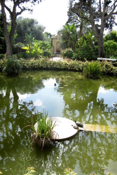 Нашшар - Palazzo Parisio, сады