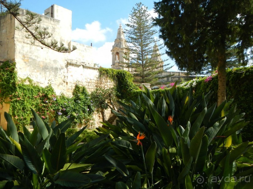 Нашшар - Palazzo Parisio, сады