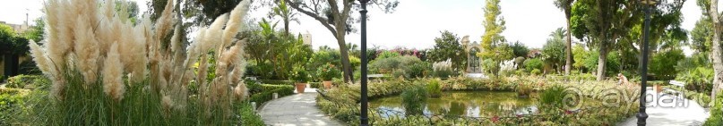 Нашшар - Palazzo Parisio, сады