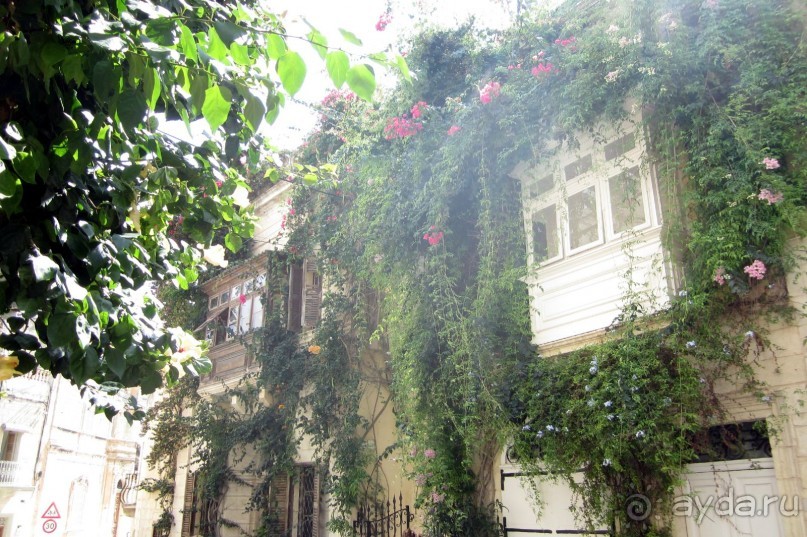 Нашшар -улочки, балкончики