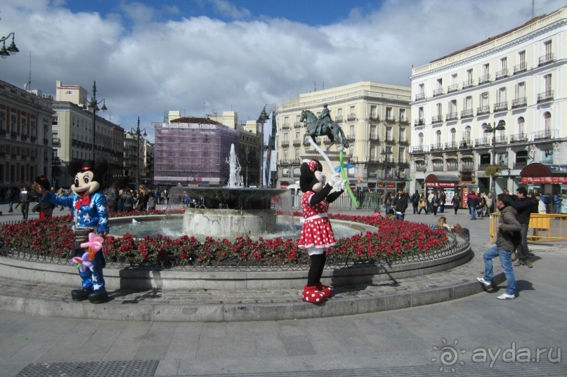 Puerta del Sol  -   Медведица и земляничное дерево