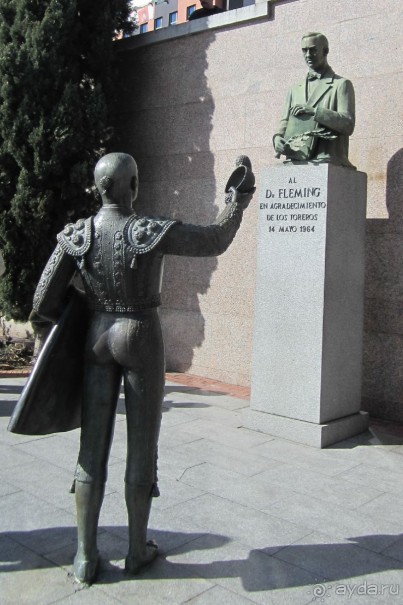 Plaza de Toros - памятник изобретателю пенициллина Александру Флемингу