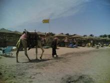 фото Iberotel Makadi Beach