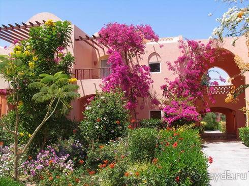 фото Iberotel Makadi Beach