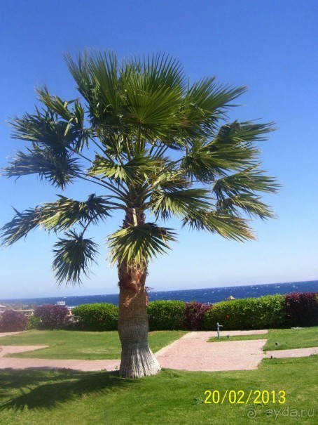 отличный семейный отель