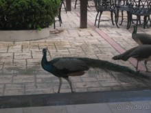 отличный отель