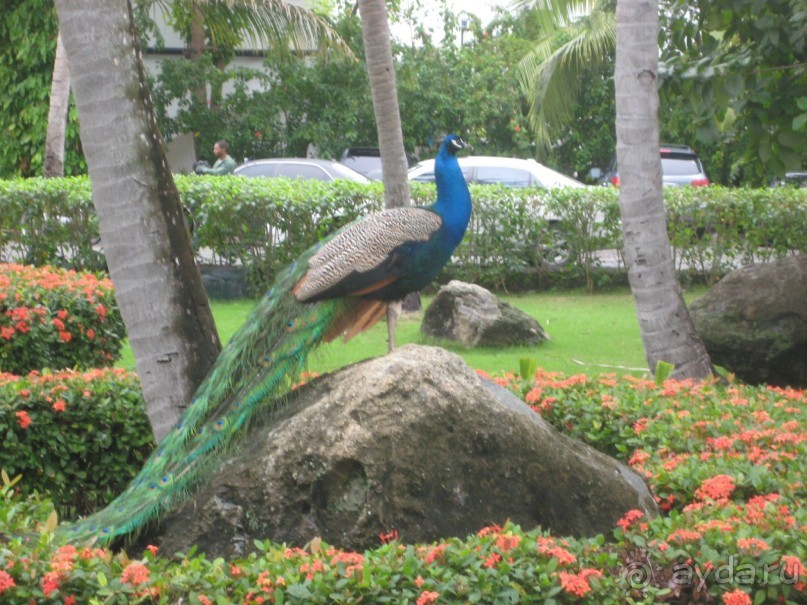 отличный отель