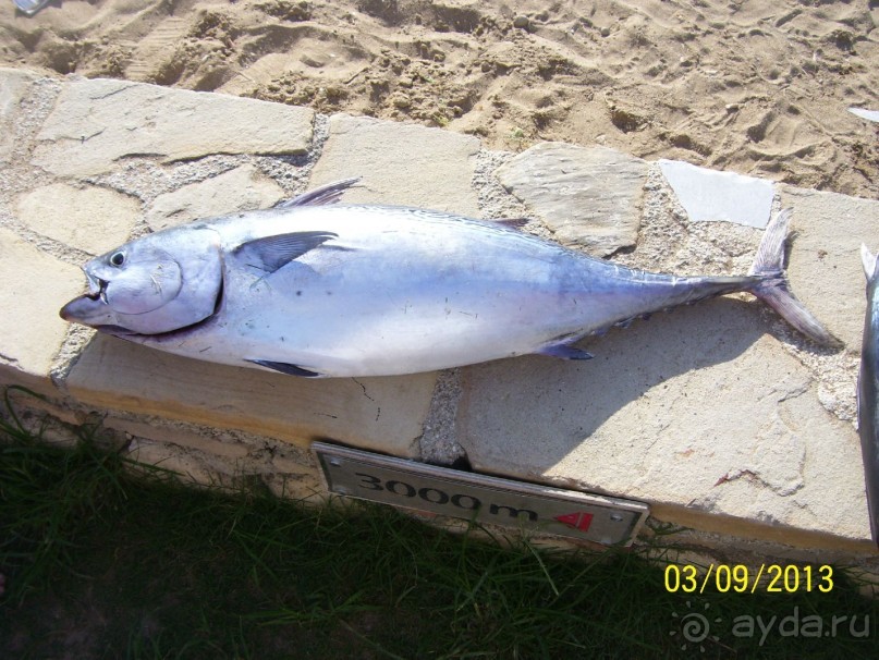 не плохой отель, заканчивающий свою истории в данной категории звёзд