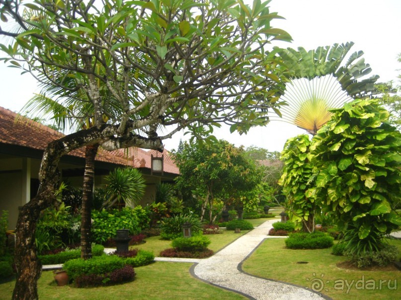 территория отеля