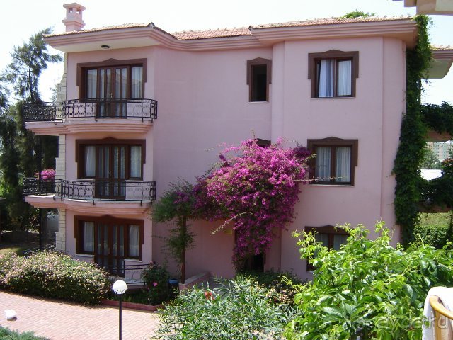 Мой любимый Сан Квин Мой любимый Сан Квин