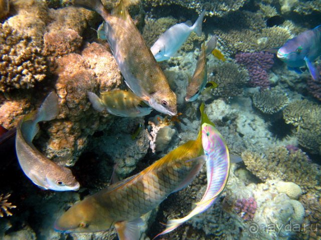 СУППЕР - так много и так мало в зтом слове.