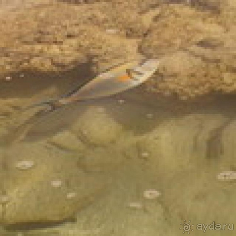 Отель очень даже не чего всё как везде в египте .