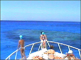 Египет, Хургада, Jasmine Village, 07.10-18.10.2003