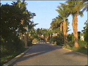Египет, Хургада, Jasmine Village, 07.10-18.10.2003