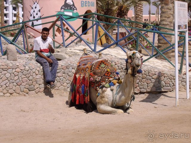 фото Robinson Club Pamfilya