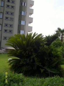 фото Sol Pinet Playa