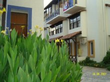 фото Sol Pinet Playa