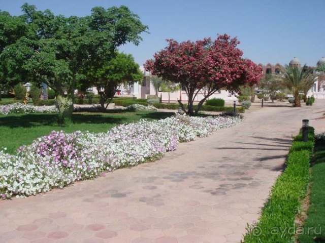 фото Pharaoh Azur Resort 