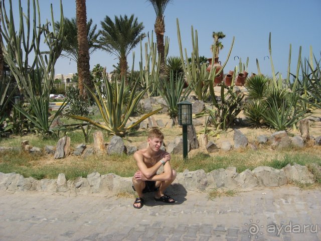 фото Jasmine Village