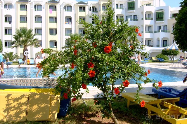 фото Club Thapsus Hotel