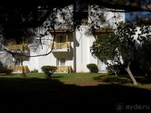 Club Turtle's Marco Polo