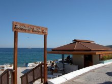 Club Turtle's Marco Polo