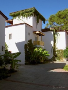 Club Turtle's Marco Polo