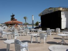 Club Turtle's Marco Polo