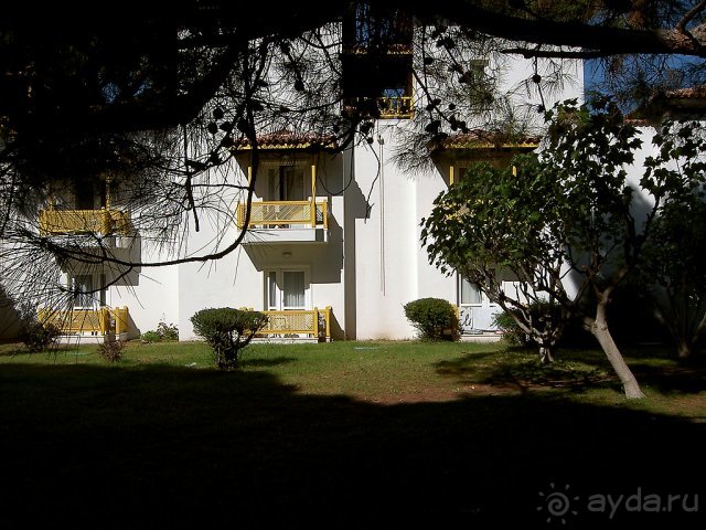 фото Чамьювы