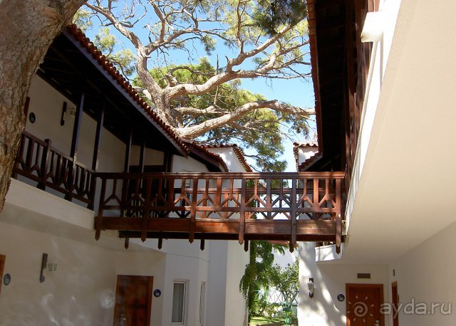 фото Чамьювы