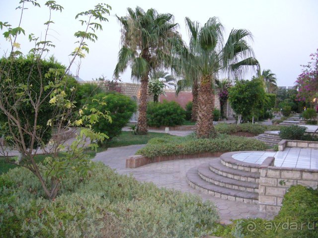 фото Club Hotel Aphrodite