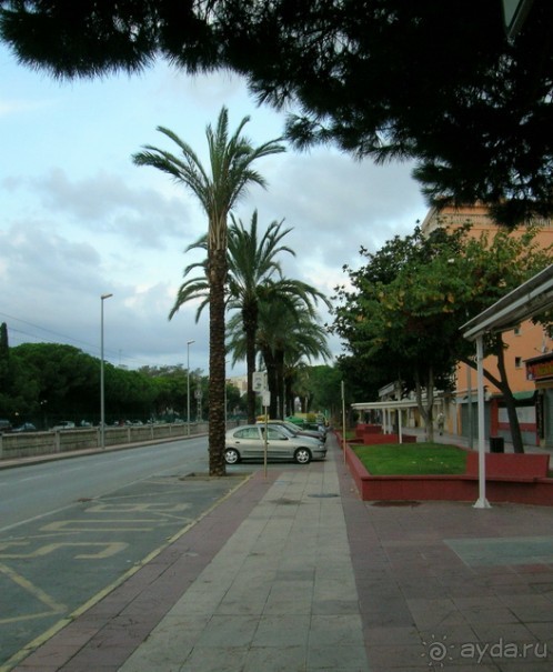 фото Tropic Park