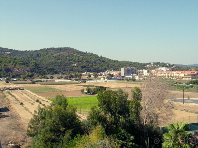 фото Tropic Park