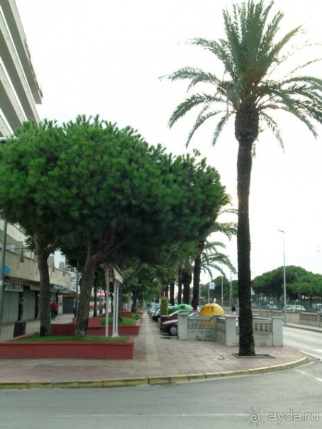 фото Tropic Park